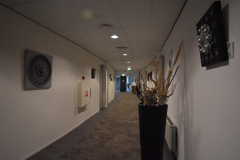 19-04-17_Holl_0006_GA2_8361