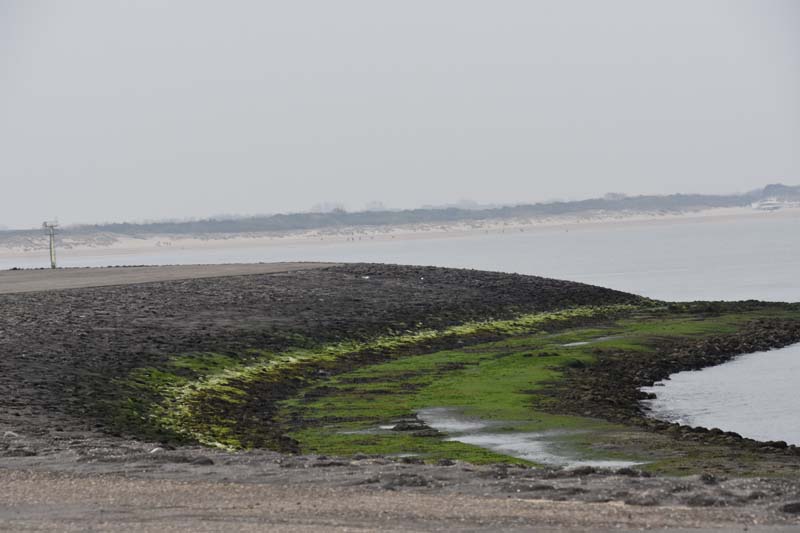 19-04-17_Holl_0090_GA2_8445