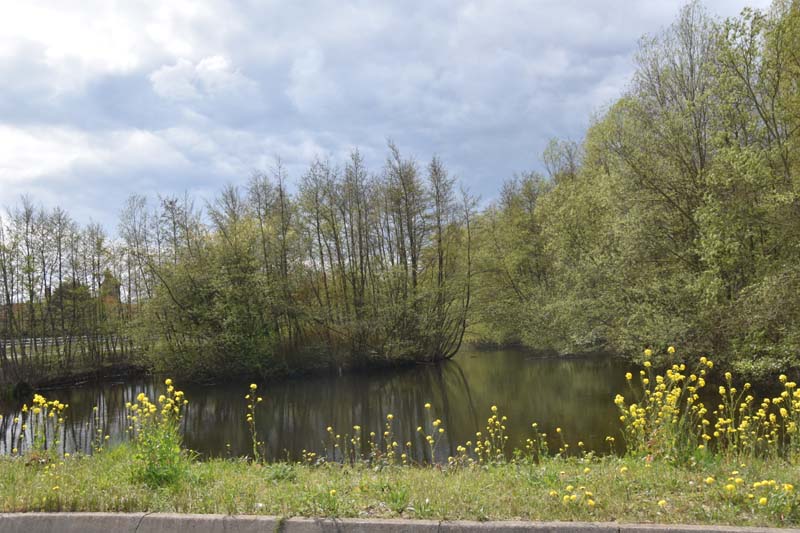 19-04-17_Holl_0302_GA2_8587