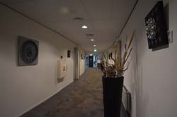 19-04-17_Holl_0006_GA2_8361