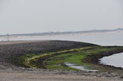 19-04-17_Holl_0090_GA2_8445