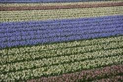 19-04-17_Holl_0442_GA2_8713